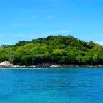 island covered with green trees under the clear skies