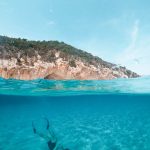 person scuba diving